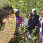 A VERY DISRESPECTFUL RIVER: QwaQwa Graveyard Swallowed Whole as Amadlozi's Skeletons Emerge from Muddy Soil