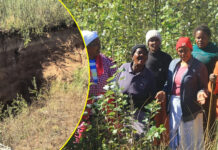 A VERY DISRESPECTFUL RIVER: QwaQwa Graveyard Swallowed Whole as Amadlozi's Skeletons Emerge from Muddy Soil