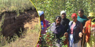 A VERY DISRESPECTFUL RIVER: QwaQwa Graveyard Swallowed Whole as Amadlozi's Skeletons Emerge from Muddy Soil