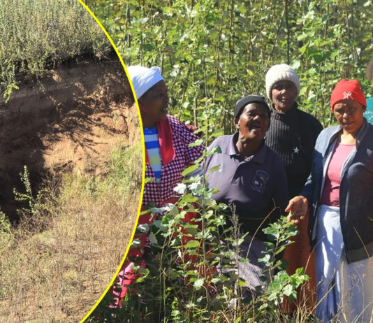 A VERY DISRESPECTFUL RIVER: QwaQwa Graveyard Swallowed Whole as Amadlozi's Skeletons Emerge from Muddy Soil