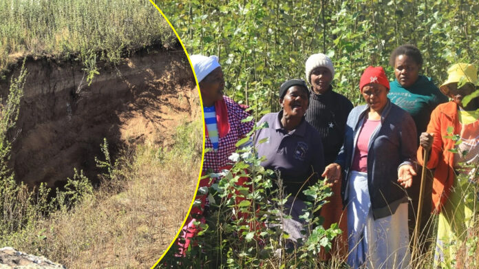 NALEDI VILLAGERS in QWAQWA, floods destroy graves
