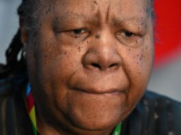 Former Minister Naledi Pandor & hubby held hostage in their bedroom as armed robbers flee with car and gadgets