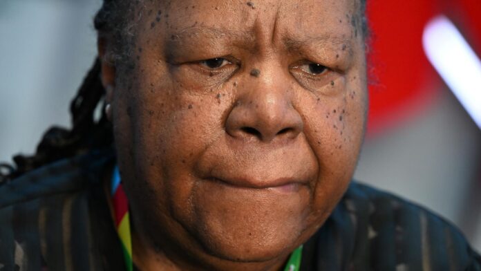 Naledi Pandor worried