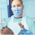 Rugby Star Rhys Thomas Receives Life-Saving Heart Transplant in Cape Town