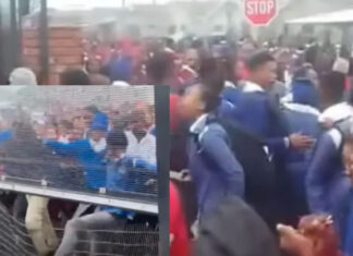 Seven Hundred Rioting Learners Unleash Carnage In Kraaifontein Demanding Foreign Nationals Be Kicked Out Of Schools And The Country