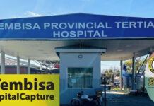 Stolen ID, shell company and a R6.8m mansion: SIU targets mother–son pair in Tembisa Hospital scandal