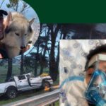 90 Minutes Of Terror: Cape Town Hero Faces 20 Operations After Being Trapped Under A Bakkie In A Horrific Storm Crash