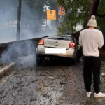 ‘She Was Sunshine’: Heartbreak as Knysna Social Worker is Killed by Falling Tree While Helping Others