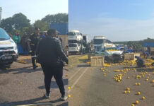 Police Vehicle Carrying Prisoners Collides with Tractor on N11 – Four Seriously Injured