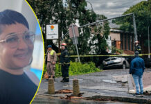 Horrific Knysna Tree Accident: Social Worker Crushed to Death by Falling Tree, Family Discovers Her Death on Facebook: