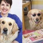 The Incredible Story of South Africa's First Courtroom Therapy Dog! Meet Toffee Beanz, The Therapy Dog Who Comforted a Child Witness!