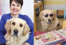 The Incredible Story of South Africa's First Courtroom Therapy Dog! Meet Toffee Beanz, The Therapy Dog Who Comforted a Child Witness!
