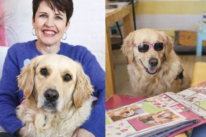 therapy-dog