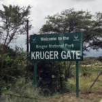 Kruger Park Horror: Canadian Tourist Shot Dead During Braai – The Shocking Reason Why the Guide Pulled the Trigger!