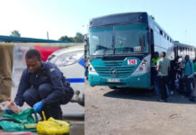 Explosives hidden in rice bags? Malawian bus driver arrested at Beitbridge border post