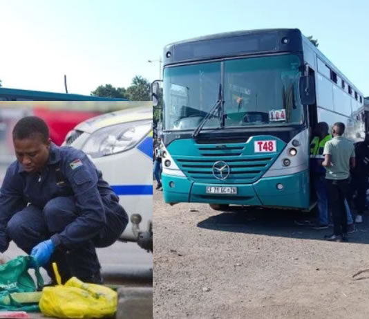 Explosives hidden in rice bags? Malawian bus driver arrested at Beitbridge border post