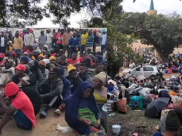 Thousands of Malawian Nationals Trapped in Durban Park Amidst Urgent Repatriation Efforts as Alleged Anti-Immigrant Threats Force Mass Exodus Before June 30 Deadline.