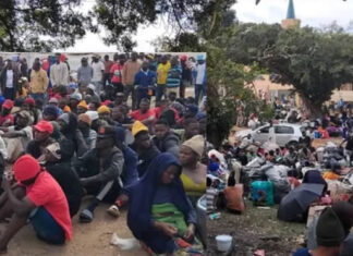 Thousands of Malawian Nationals Trapped in Durban Park Amidst Urgent Repatriation Efforts as Alleged Anti-Immigrant Threats Force Mass Exodus Before June 30 Deadline.