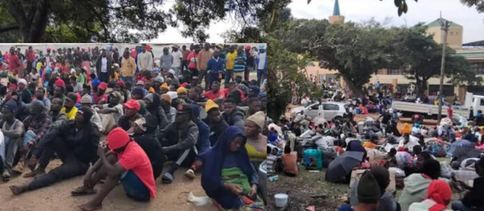 Malawians