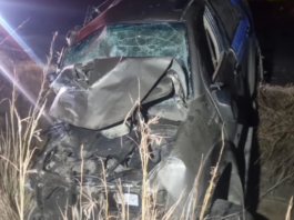 Five Men Killed Instantly in Devastating Head-On Crash on Mpumalanga’s P97 Road