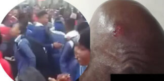 No One Is Safe: A South African Security Guard Brutally Attacked Amidst Anti-Foreigner Protests by Schoolchildren
