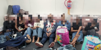 Community Members Corner Alleged Shoplifting Syndicate at Limpopo Mall, Four Arrested
