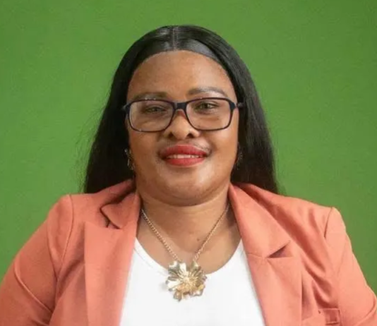 Political Assassination Rocks Dunoon: Who Ordered the Hit on DA Candidate Sinovuyo Dyokwe?