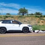 8 years in prison: Court finally ends Tshabangu's business of stealing Toyota cars in South Africa and selling them in Zimbabwe