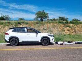 8 years in prison: Court finally ends Tshabangu's business of stealing Toyota cars in South Africa and selling them in Zimbabwe