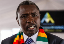 Zimbabwe: Tagwirei Foundation Commits Nearly R50 Million to Repatriate Zimbabweans Fleeing Xenophobic Violence in South Africa