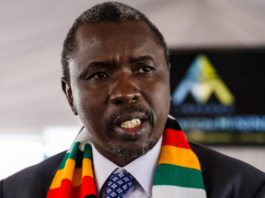 Zimbabwe: Tagwirei Foundation Commits Nearly R50 Million to Repatriate Zimbabweans Fleeing Xenophobic Violence in South Africa