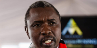 Zimbabwe: Tagwirei Foundation Commits Nearly R50 Million to Repatriate Zimbabweans Fleeing Xenophobic Violence in South Africa