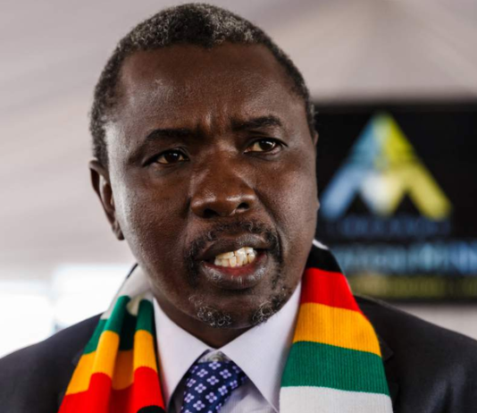 Zimbabwe: Tagwirei Foundation Commits Nearly R50 Million to Repatriate Zimbabweans Fleeing Xenophobic Violence in South Africa