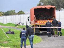 Refuse Collectors Find Decomposing Body Behind Stadium – Stench in Athlone Leads To Horrific Discovery Of A Young Woman’s Body Hidden In A Refuse Bag
