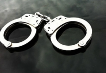 Limpopo Farm Owner Arrested With 15 Undocumented Workers During Surprise Inspection