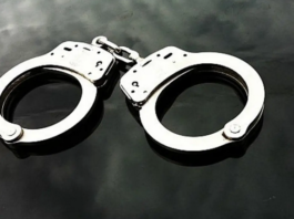 Limpopo Farm Owner Arrested With 15 Undocumented Workers During Surprise Inspection