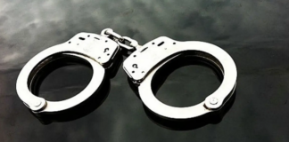 Limpopo Farm Owner Arrested With 15 Undocumented Workers During Surprise Inspection