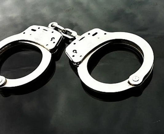 Limpopo Farm Owner Arrested With 15 Undocumented Workers During Surprise Inspection