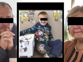 “There was nothing left of his leg – it looked like mincemeat”: Farm day turns to horror as five-year-old sucked into grain cart at Free State Farm