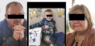 “There was nothing left of his leg – it looked like mincemeat”: Farm day turns to horror as five-year-old sucked into grain cart at Free State Farm