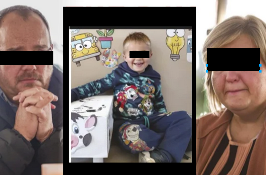 “There was nothing left of his leg – it looked like mincemeat”: Farm day turns to horror as five-year-old sucked into grain cart at Free State Farm