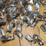 Man arrested at Cape Town Airport with 150 venomous scorpions hidden in clothing