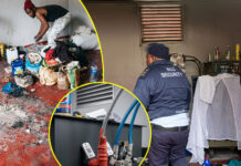 Illegal Foreigner's Desperate Measures: Zimbabwean Man Found Living Inside High-Voltage Power Substation in Joburg (VIDEO)