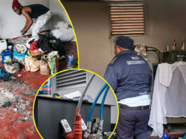 Illegal Foreigner's Desperate Measures: Zimbabwean Man Found Living Inside High-Voltage Power Substation in Joburg (VIDEO)