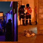 74-Year-Old Woman Wheeled Past Her Son's Dead Body – 11 People Killed In A Series Of Shocking Mass Shootings