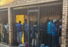 127 Undocumented Foreign Nationals Arrested in Limpopo Crackdown — More Raids to Follow?