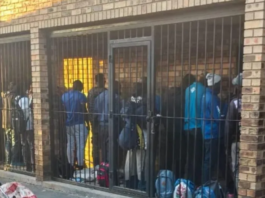 127 Undocumented Foreign Nationals Arrested in Limpopo Crackdown — More Raids to Follow?