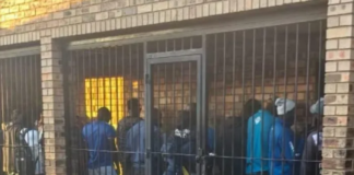 127 Undocumented Foreign Nationals Arrested in Limpopo Crackdown — More Raids to Follow?
