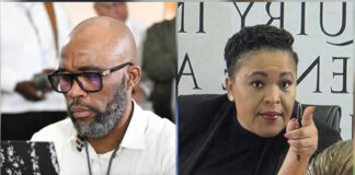 Vusimusi “Cat” Matlala Cop Lover Brigadier Rachel Matjeng Fired Over R360-Million Tender Scandal
