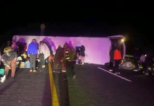 Twelve Killed, Dozens Injured After Cape Town–Johannesburg Bus Overturns on N1 Near Trompsburg